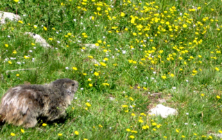 Vue de Pra Loup