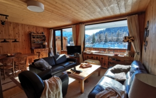 Pièce à vivre de l'appartement